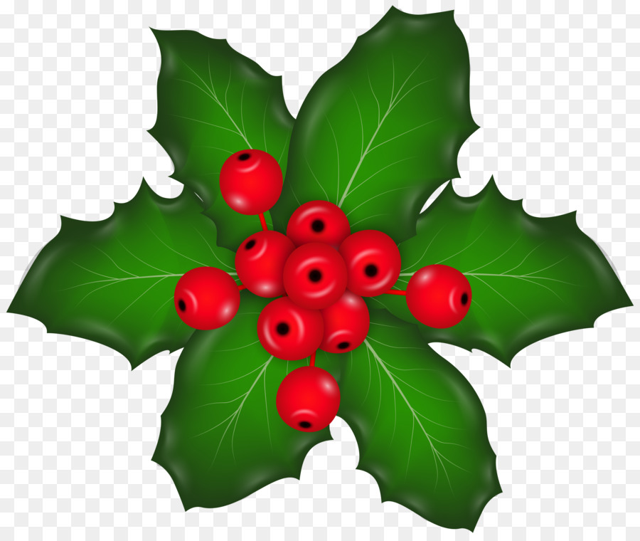 Christmas plants Mistletoe Clip art - mistletoe png download - 8000*6721 - Free Transparent Christmas  png Download.