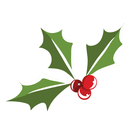 Christmas mistletoe Leafy mistletoes - Mistletoe png download - 512*512