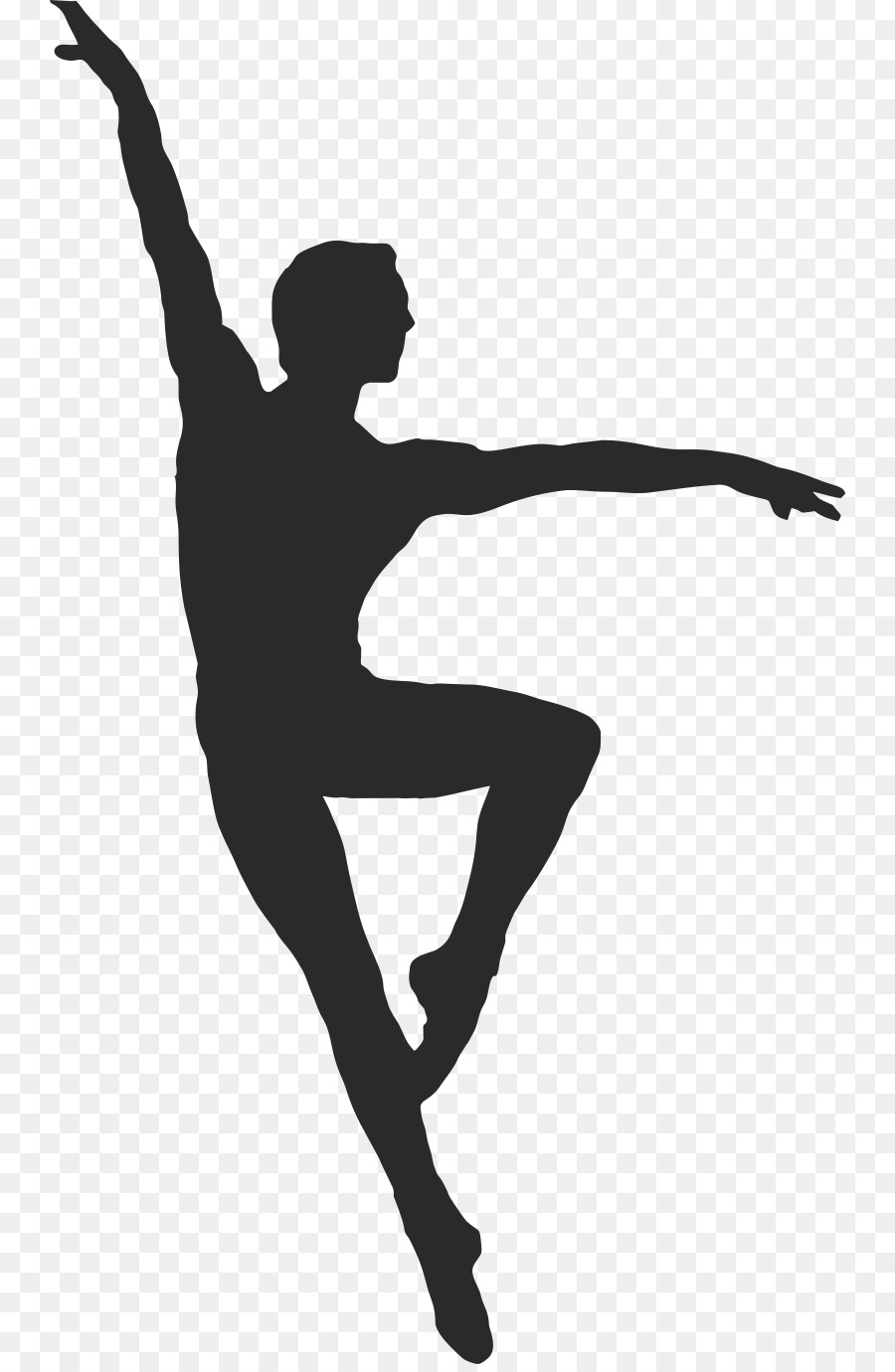 Dance Portable Network Graphics Ballet Clip art Image - ballet png download - 800*1372 - Free Transparent Dance png Download.