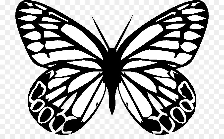 Monarch butterfly Insect Silhouette Drawing - butterfly png download - 778*544 - Free Transparent Butterfly png Download.