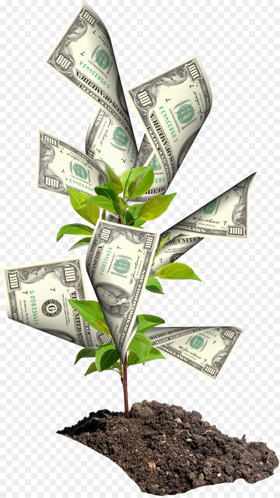 Business Management House Food Agriculture - falling money png download - 1621*2874 - Free Transparent Business png Download.