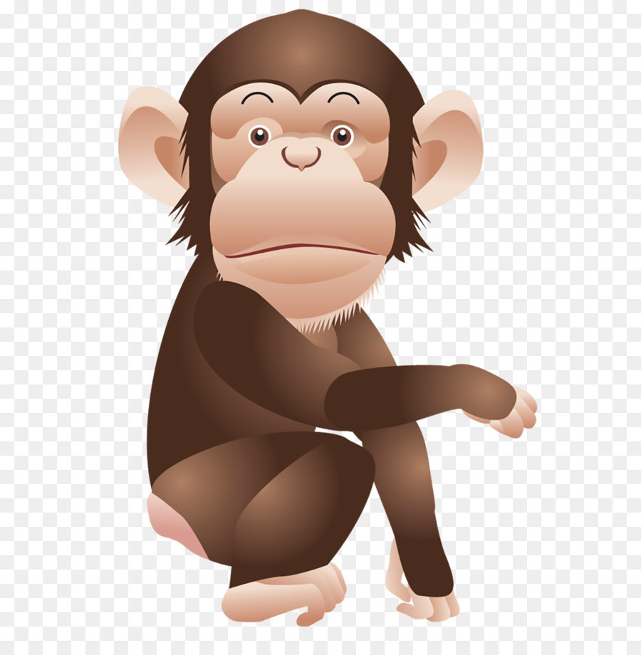 Chimpanzee Monkey Ape Clip art - Monkey PNG png download - 1000*1407 - Free Transparent Ape png Download.