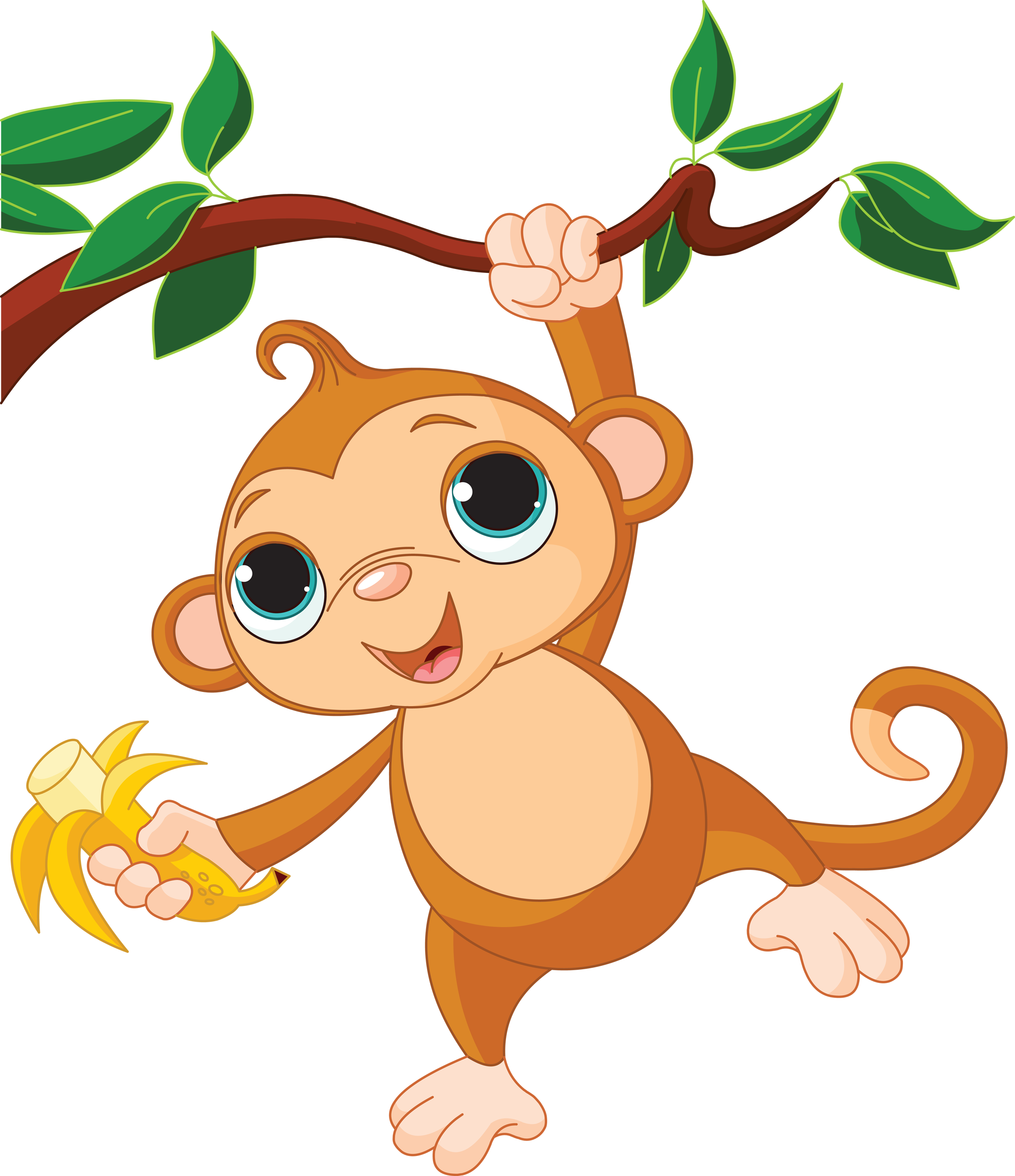 Baby Monkeys Clip Art Monkey Png Download 20722400 Free