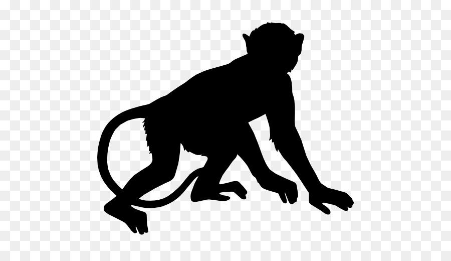 Silhouette Monkey Ape Clip art - Silhouette png download - 512*512 - Free Transparent Silhouette png Download.