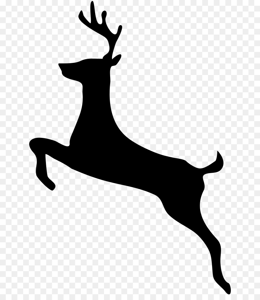 White-tailed deer Moose Clip art - deer vector png download - 698*1024 - Free Transparent Deer png Download.