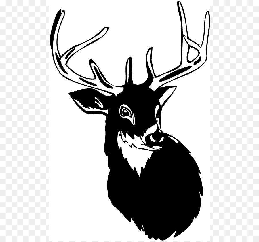White-tailed deer Moose Antler Clip art - Free Deer Pictures png download - 558*837 - Free Transparent Deer png Download.