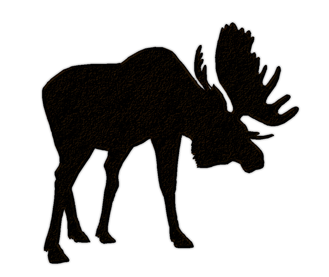 Moose Elk Hunting Bear Clip art - Llama Head Cliparts png download