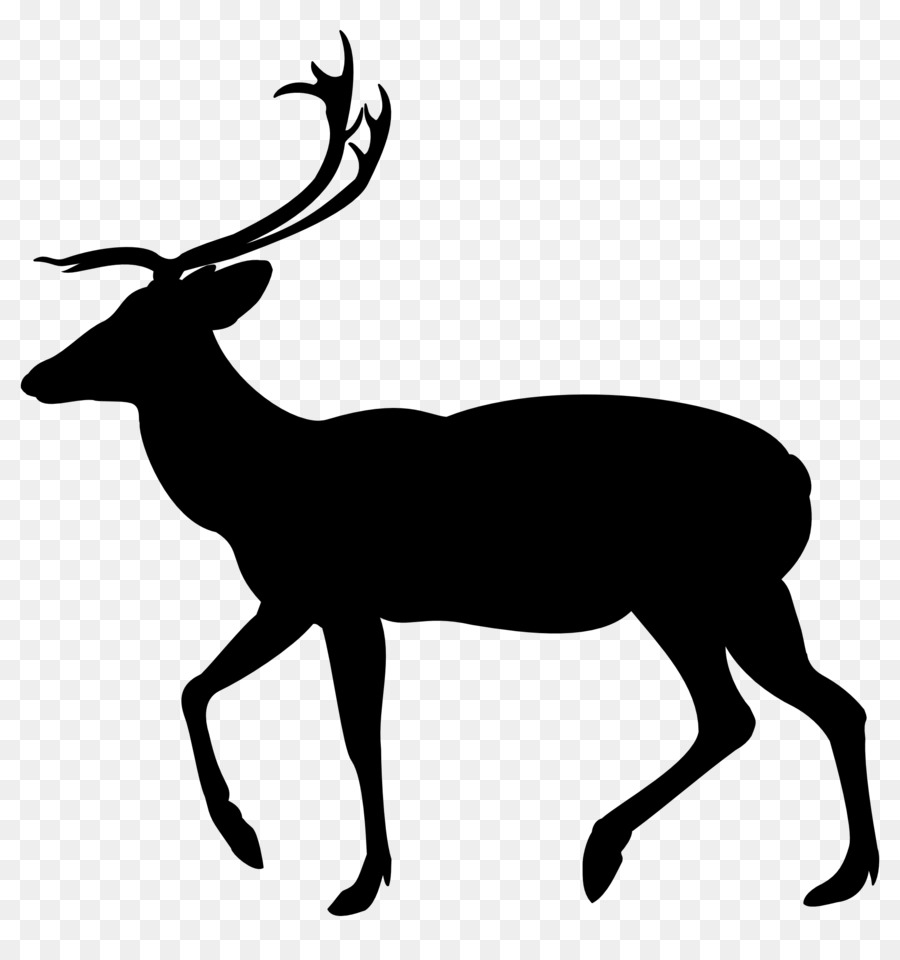 Clip art White-tailed deer Silhouette Moose -  png download - 1950*2050 - Free Transparent Deer png Download.