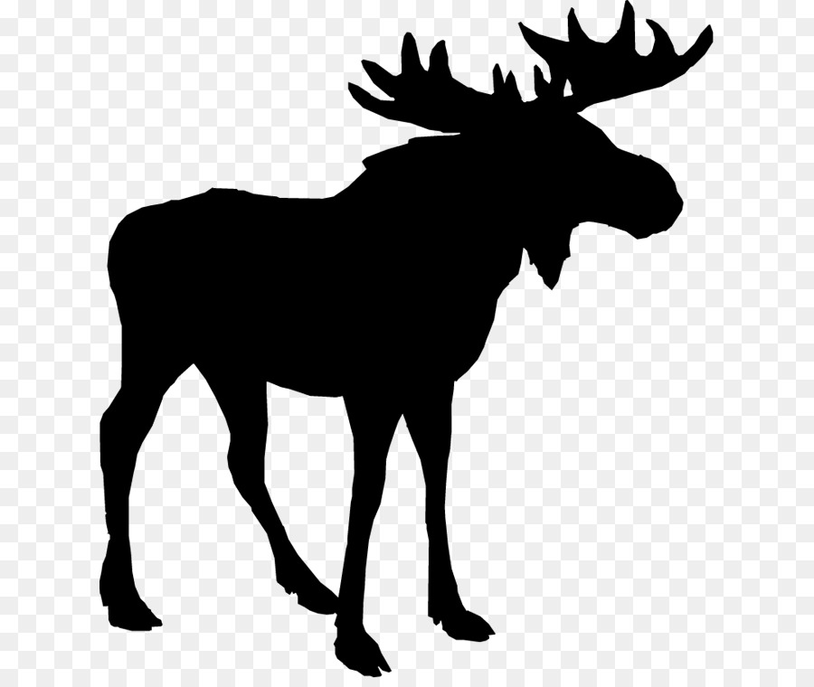 Clip art Deer Silhouette Alaska moose Image -  png download - 679*750 - Free Transparent Deer png Download.