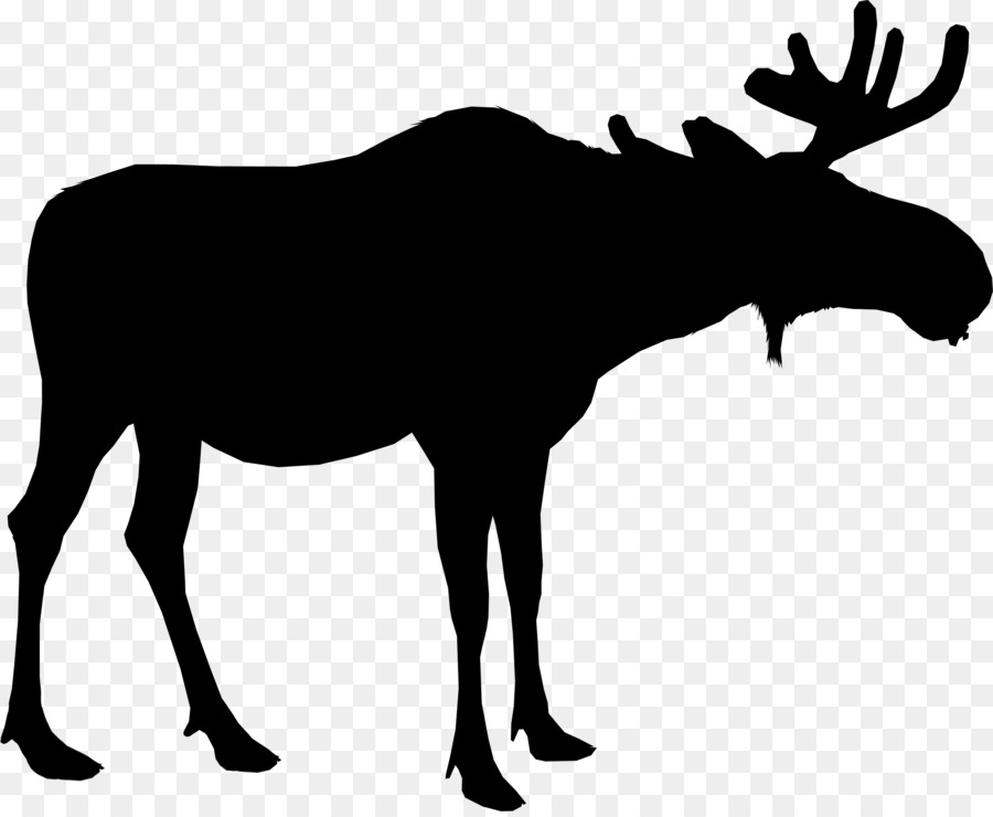 Moose Silhouette Deer Vector graphics Portable Network Graphics -  png download - 2500*2041 - Free Transparent Moose png Download.