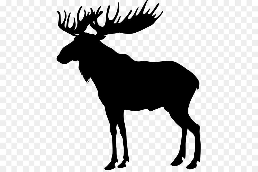 Moose Deer Clip art - deer png download - 522*600 - Free Transparent Moose png Download.