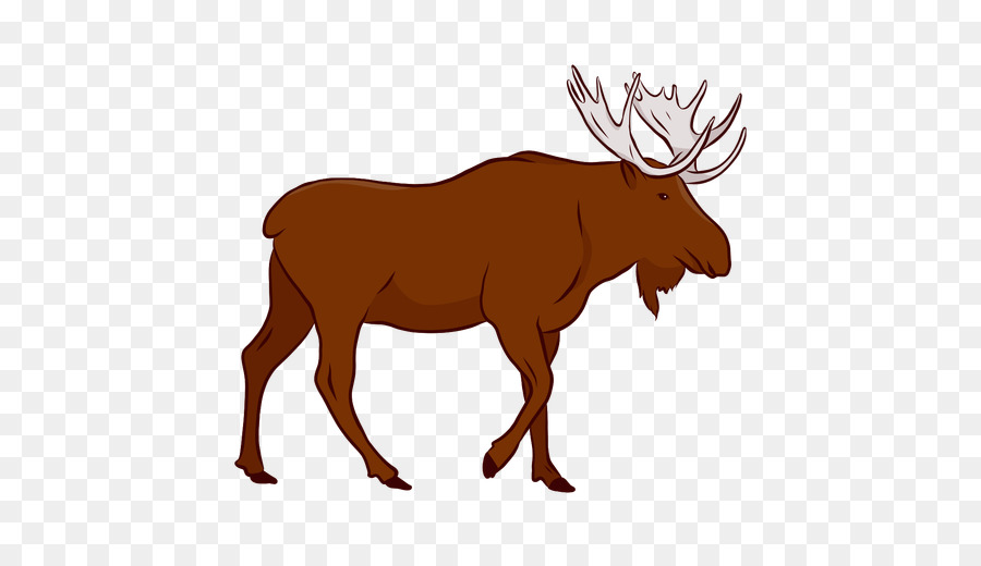 Moose Vector graphics Illustration Image Deer - moose png elk png download - 512*512 - Free Transparent Moose png Download.