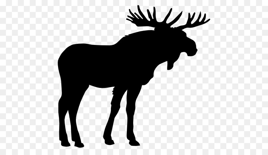 Moose Elk Deer Clip art - deer vector png download - 512*512 - Free Transparent Moose png Download.