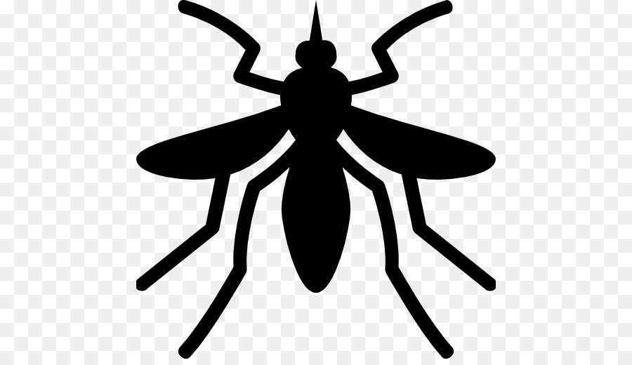 Yellow fever mosquito Yellow fever vaccine Chikungunya virus infection - vector png download - 512*512 - Free Transparent Yellow Fever png Download.
