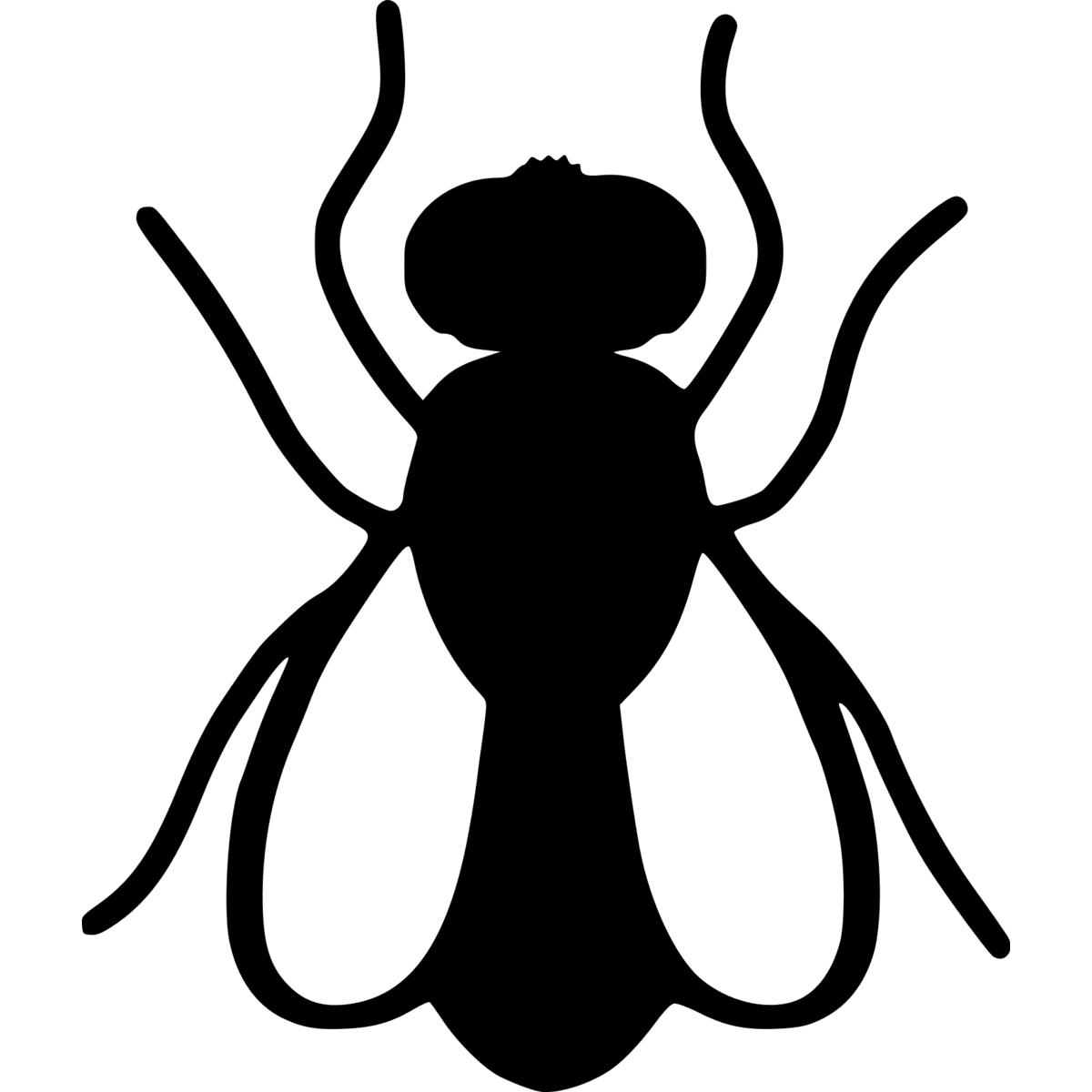 fly silhouette