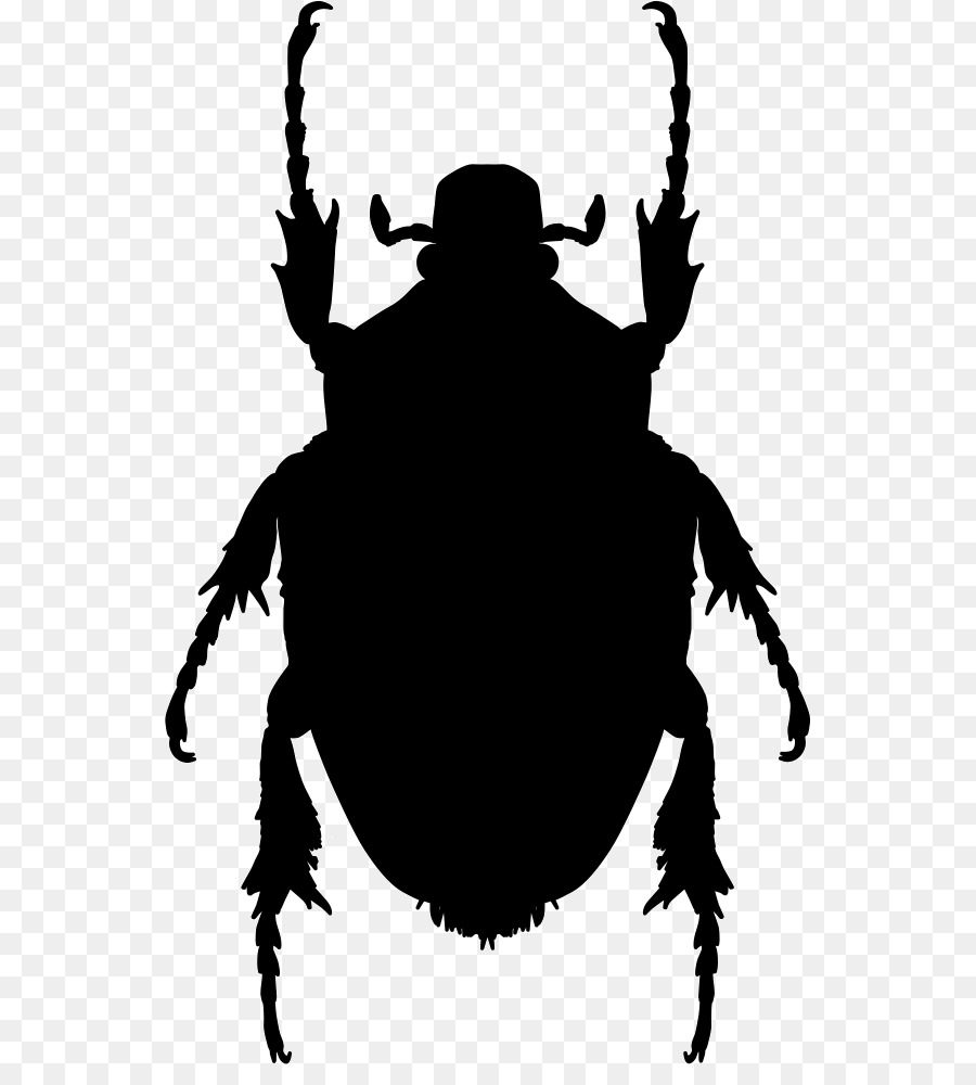 Insect Shape Mosquito Brown marmorated stink bug Pest - insect png download - 596*981 - Free Transparent Insect png Download.