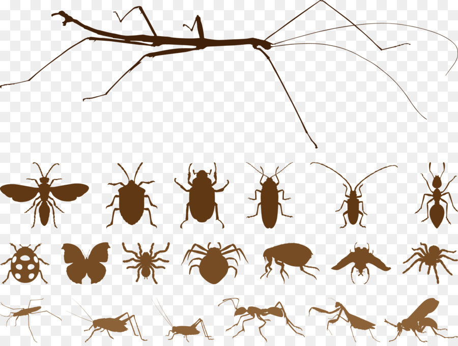Mosquito Insect Spider Euclidean vector - Silhouettes brown insect vector png download - 2434*1819 - Free Transparent Mosquito png Download.