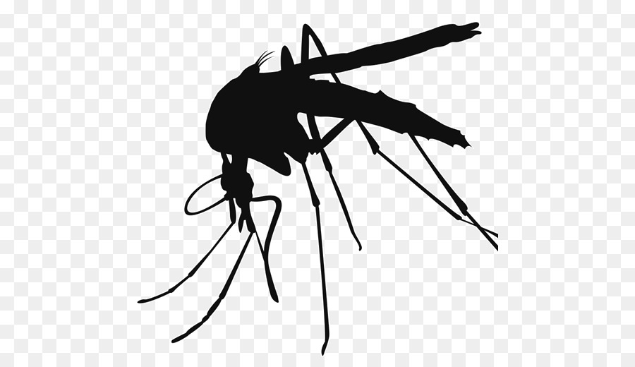Mosquito control Clip art - Mosquito png download - 512*510 - Free Transparent Mosquito png Download.
