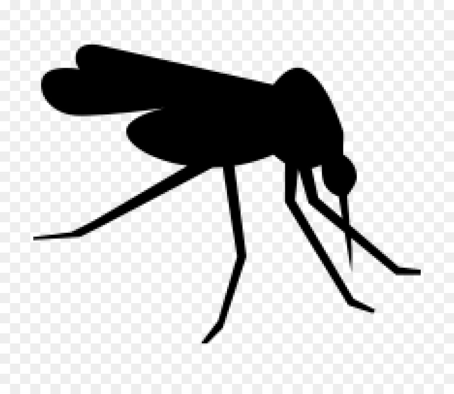 Mosquito Computer Icons Clip art - mosquito png download - 768*768 - Free Transparent Mosquito png Download.