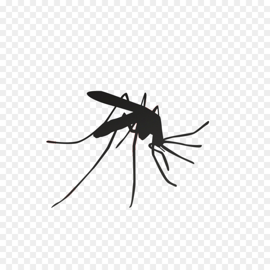 Mosquito Household Insect Repellents Pest Control - black png download - 1475*1475 - Free Transparent Mosquito png Download.