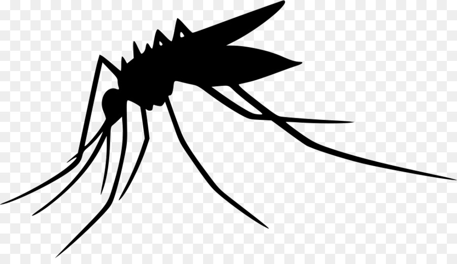 Mosquito Computer Icons Clip art - mosquito png download - 980*554 - Free Transparent Mosquito png Download.