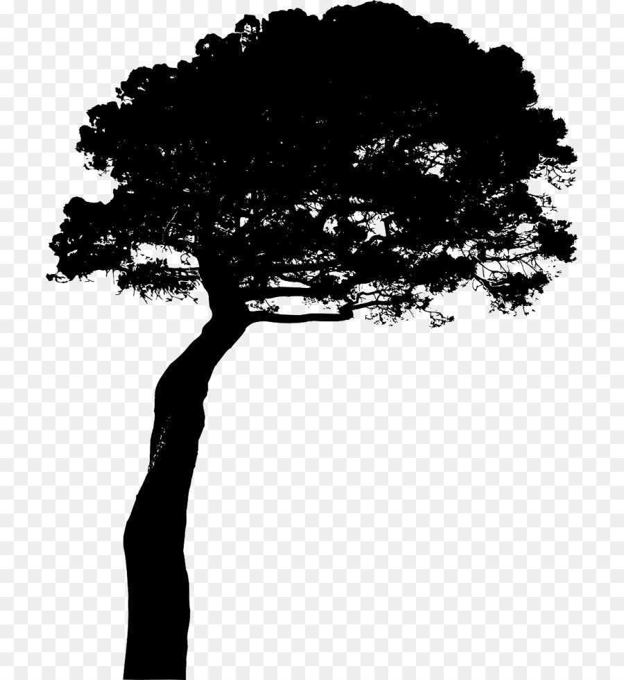 Pine Tree Silhouette Clip art - tree png download - 768*980 - Free Transparent Pine png Download.