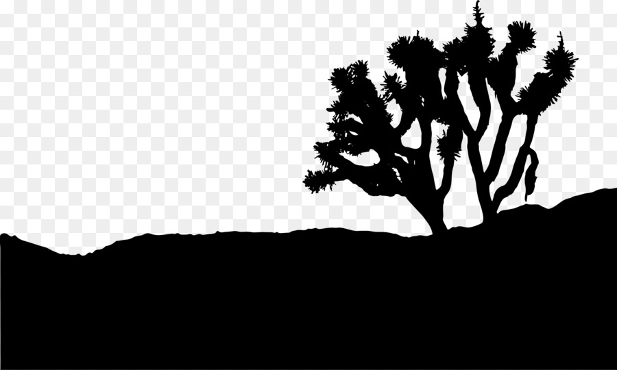 Joshua Tree National Park High Desert Morongo Basin - tree silhouette png download - 2400*1439 - Free Transparent Joshua Tree National Park png Download.