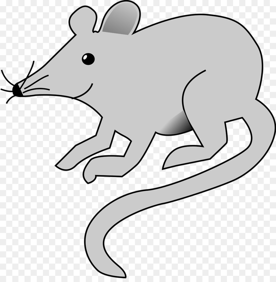 Rat Mouse Clip art - fleas png download - 958*966 - Free Transparent Rat png Download.