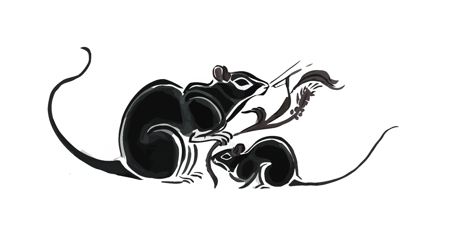 Mouse Vector Mouse Png Download 1500 740 Free Transparent Mouse Png Download Clip Art Library