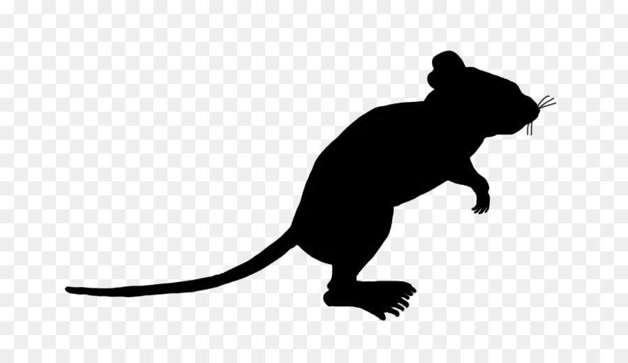 Rat Computer mouse Silhouette Clip art - rhyme png download - 740*516 - Free Transparent Rat png Download.