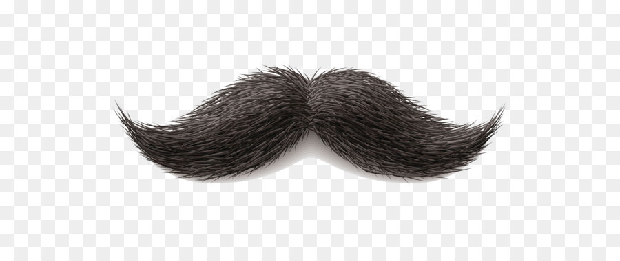 World Beard and Moustache Championships Clip art - Moustache Png Image png download - 1280*720 - Free Transparent Moustache png Download.