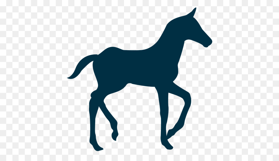 Tennessee Walking Horse Mule Silhouette Colt Clip art - Silhouette png download - 512*512 - Free Transparent Tennessee Walking Horse png Download.