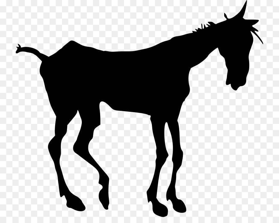 Mule Mustang Silhouette Foal Clip art - mustang png download - 799*701 - Free Transparent Mule png Download.