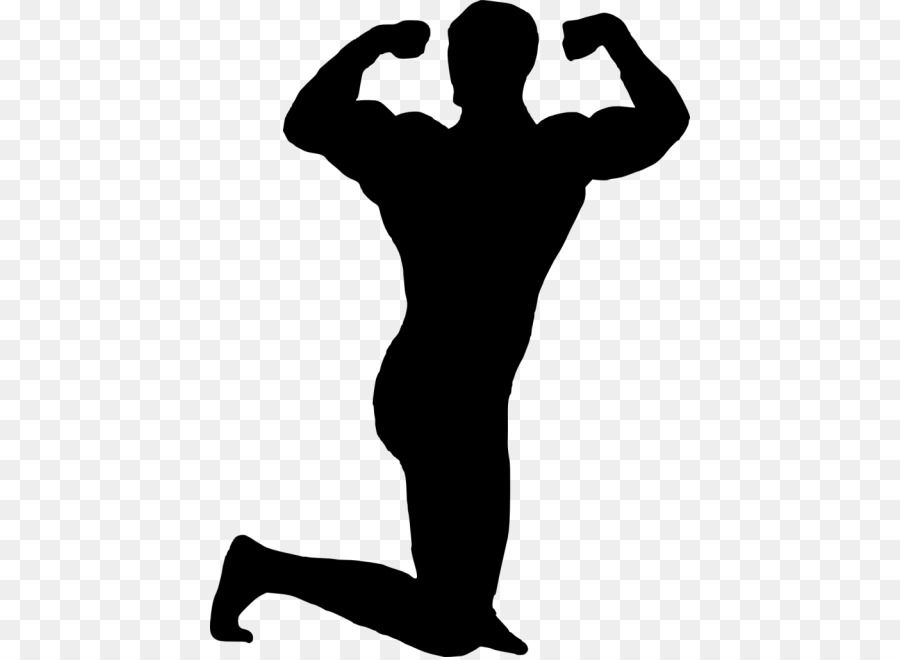 Mitch Muscle Man Sorenstein Human body Bodybuilding Clip art - bodybuilding png download - 480*657 - Free Transparent Muscle png Download.