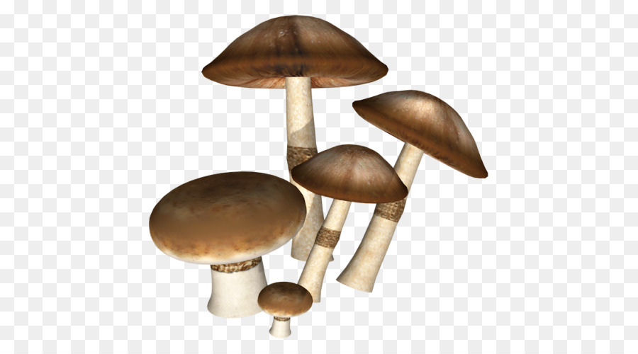 Icon - Dark mushrooms png download - 550*500 - Free Transparent Mushroom png Download.