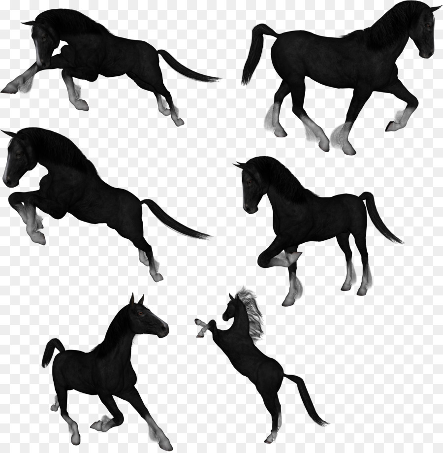 Mustang Drawing Akhal-Teke Clip art - Horses png download - 3796*3867 - Free Transparent Mustang png Download.