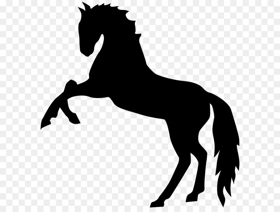 Mustang Stallion Clip art - Standing Horse Silhouette PNG Transparent Clip Art Image png download - 7744*8000 - Free Transparent Mustang png Download.