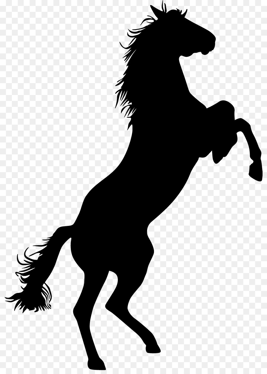 Mustang Standing Horse Bronco Equestrian Clip art - bison png download - 870*1247 - Free Transparent Mustang png Download.