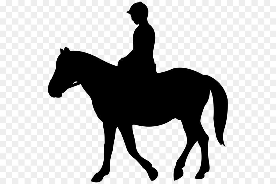 Jockey English riding Mustang Silhouette Clip art - mustang png download - 597*600 - Free Transparent Jockey png Download.