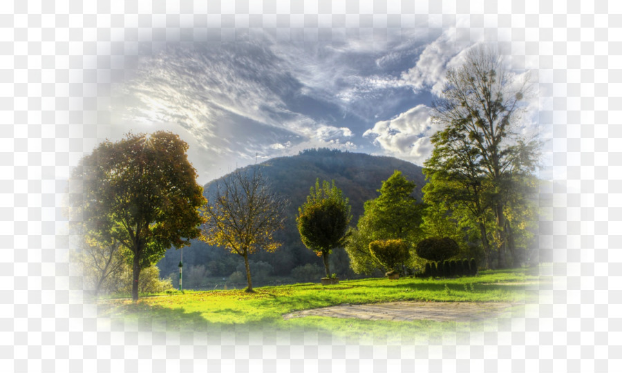 Desktop Wallpaper Sky Landscape Tree Nature - natural landscape png download - 800*528 - Free Transparent Desktop Wallpaper png Download.