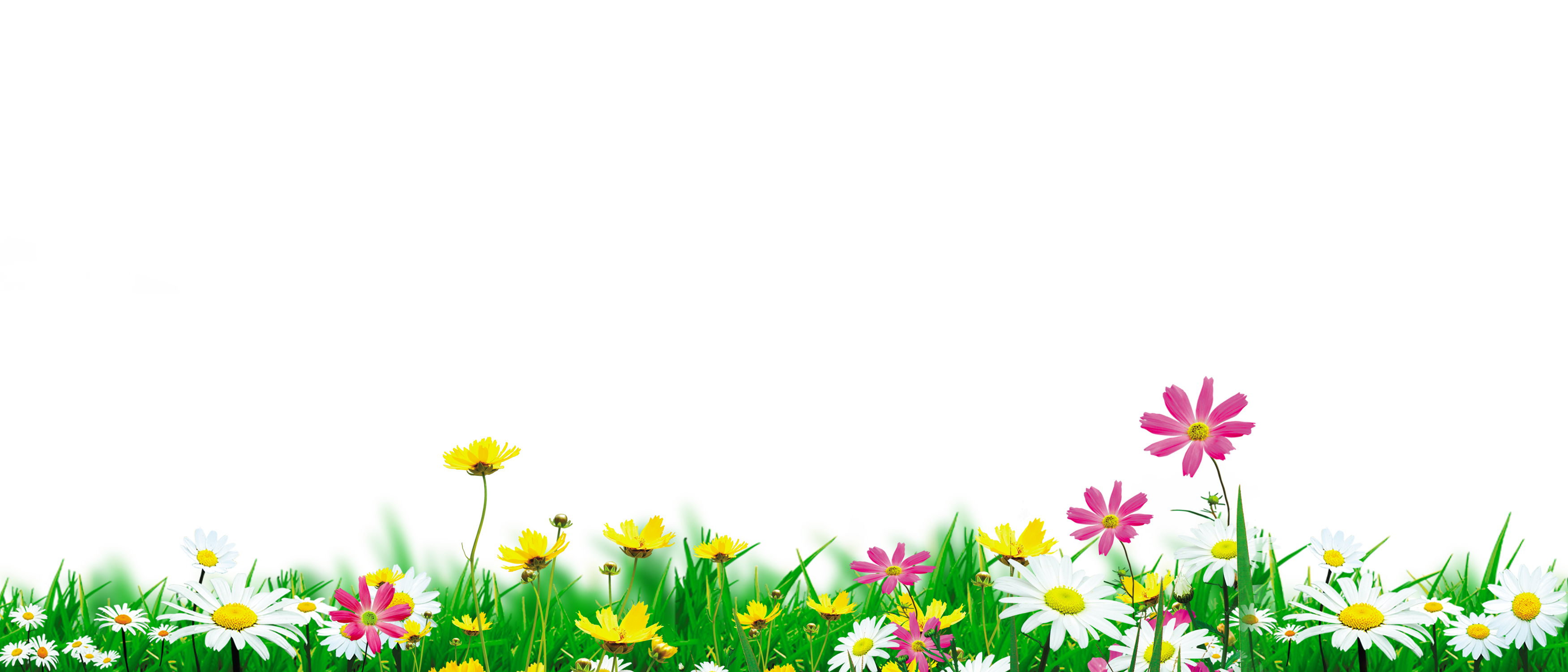 Download Nature - Flowers in full bloom natural environment png