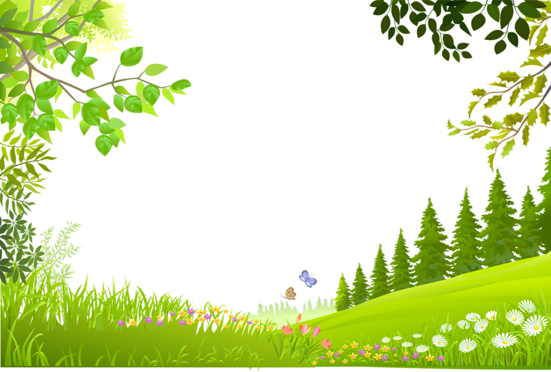 Nature Landscape - Cartoon trees plants green grass background material png  download - 800*540 - Free Transparent Nature png Download. - Clip Art  Library