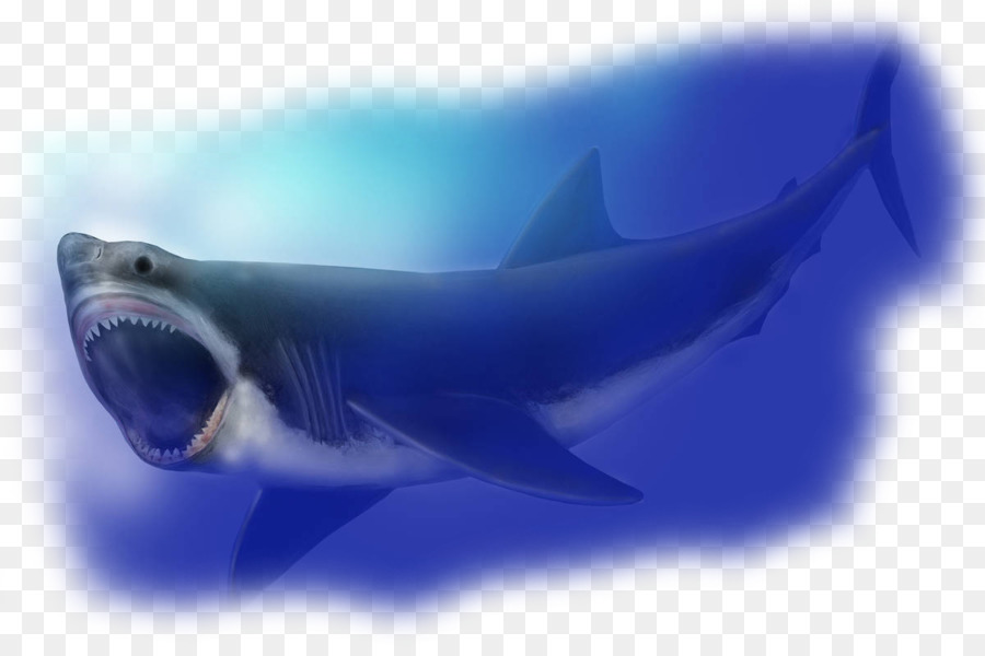Megalodon Hungry Shark World Requiem sharks Tomb of Annihilation - shark png download - 1200*797 - Free Transparent Megalodon png Download.