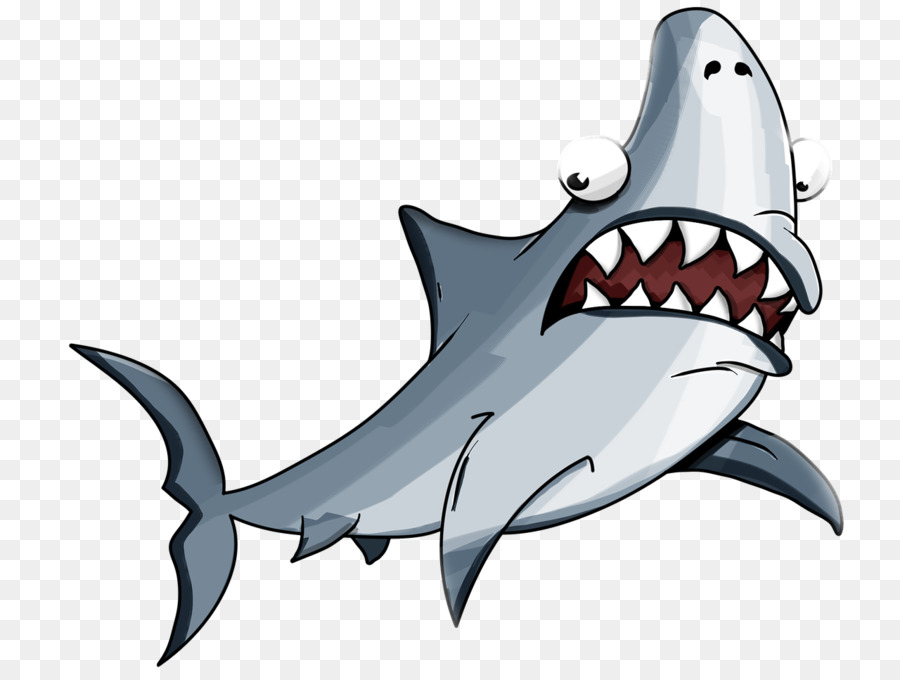 Shark facts Great white shark Tiger shark Whale shark - sharks png download - 1280*960 - Free Transparent Shark png Download.