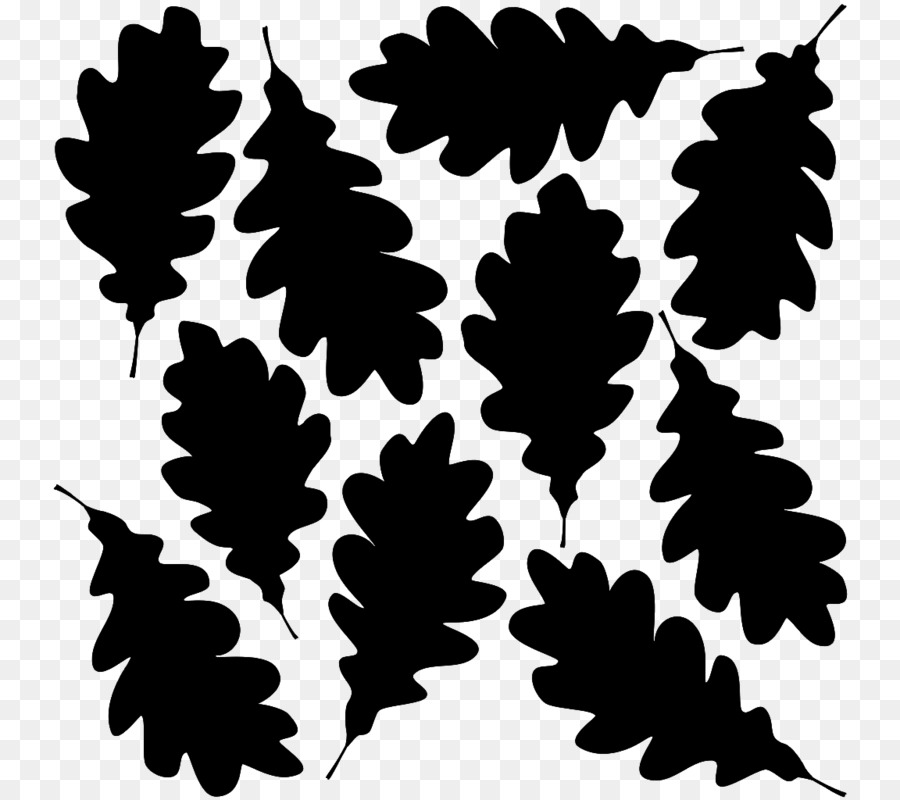 Silhouette Oak leaf cluster - Silhouette png download - 800*800 - Free Transparent Silhouette png Download.