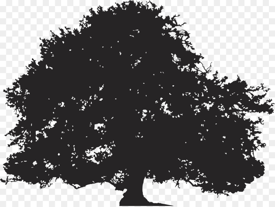 Oak Silhouette Tree Illustration - Tree Silhouette png download - 1998*1504 - Free Transparent Oak png Download.
