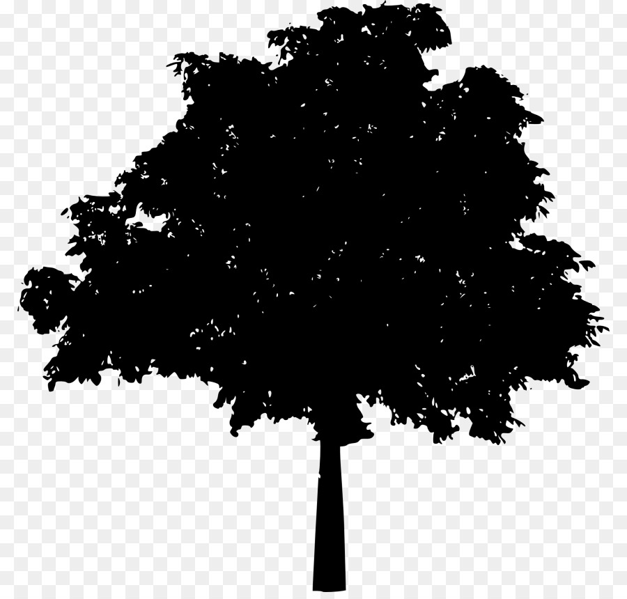 Tree Oak Clip art - tree png download - 850*850 - Free Transparent Tree png Download.