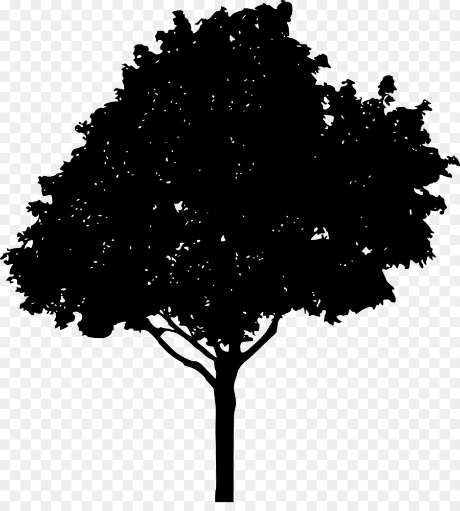 Tree Oak Drawing Clip art - tree silhouette png download - 1832*2000 - Free Transparent Tree png Download.