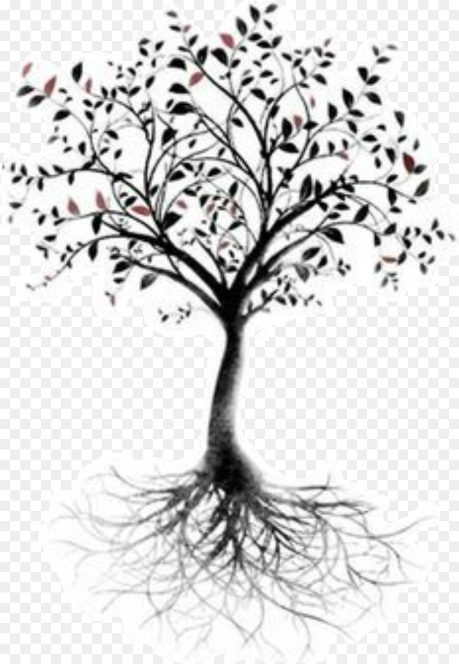 Tree of life Root Tattoo Branch - tree png download - 1064*1536 - Free Transparent Tree Of Life png Download.