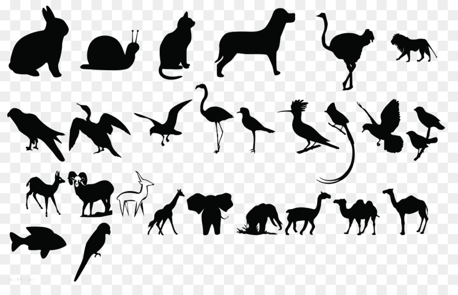Black and white Animal Poster - Animal Silhouettes png download - 1024*648 - Free Transparent Black And White png Download.